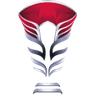 Asian Cup Qualification