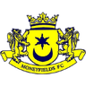 Moneyfields