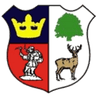 Cinderford Town