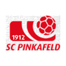 Pinkafeld